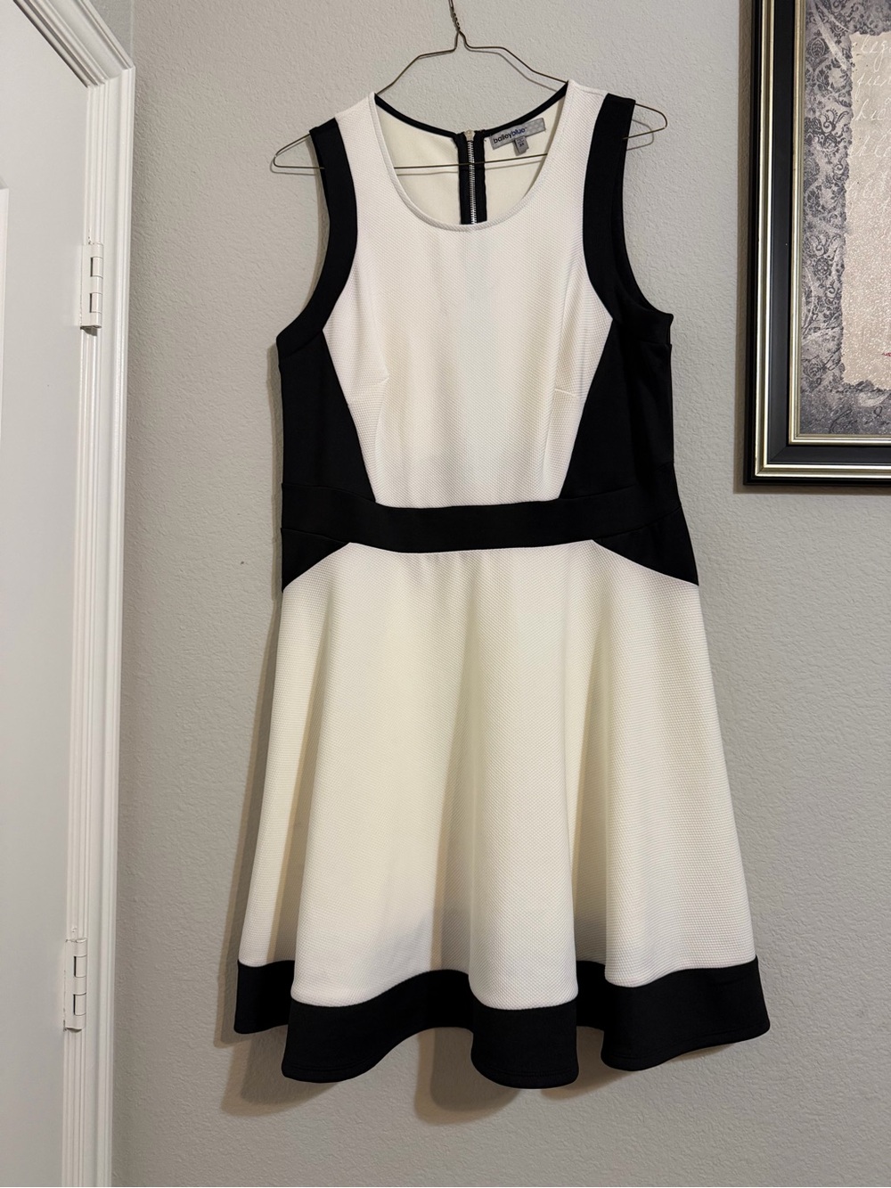 bailey blue Black and White Colorblock Dress